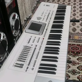 saz guraly