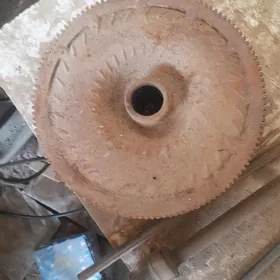 gazan mahawik