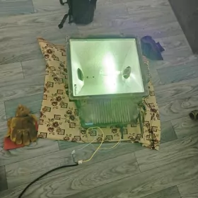 Прожектор