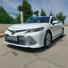 Toyota Camry 2019