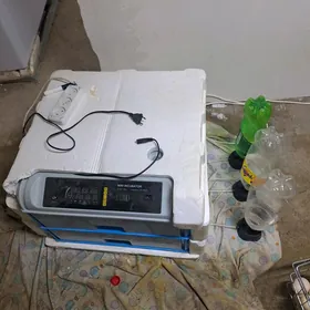 inkubator