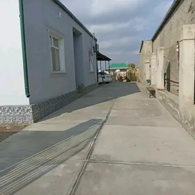 Satlyk plan jaý Magtymguly