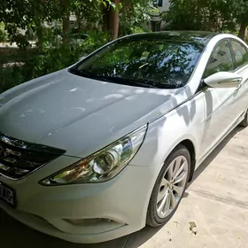 Hyundai Sonata 2010