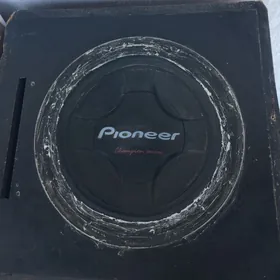 Pioneer bocka