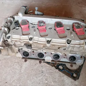 VOLKSWAGEN MORDA 11