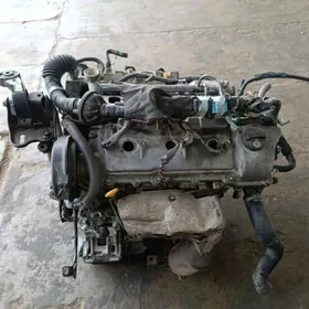 mator 3.3 Sienna