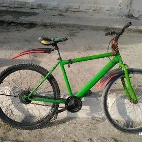 Turkmenistan tigir