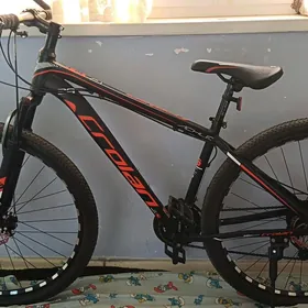 Sportiwnyy tigir 29 lyk Crolan