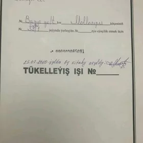 satlyk jay bagyr.mirewe
