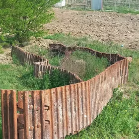 zynjyr.