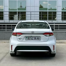 Toyota Corolla 2020
