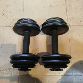 gantel