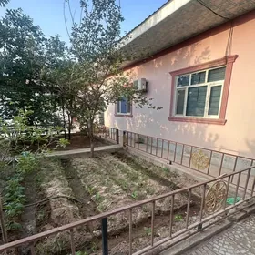 Anew 10Sotok 10Komnat