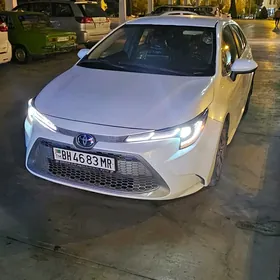 Toyota Corolla 2022