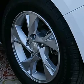 Elantra 2021 diska 195.65.15