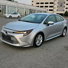 Toyota Corolla 2020