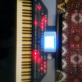 korg pa 800