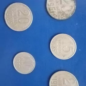 коллекция