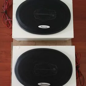 PIONEER KOLONKA