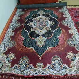 ПАЛАС, ХАЛЫ .