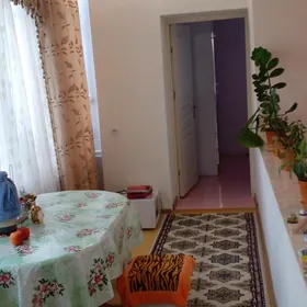 Дворянское гнездо