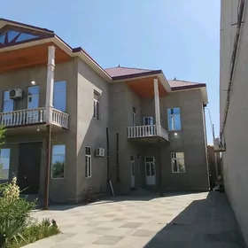 zelili kotej 6 sotuk