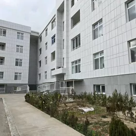 Полуэлитка Анау