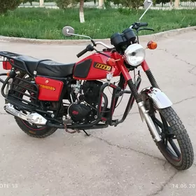 Fekon FK150-8G 2010