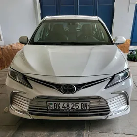 Toyota Camry 2019