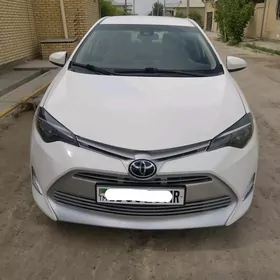 Toyota Corolla 2018