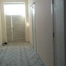 Satlyk odmen jaý
