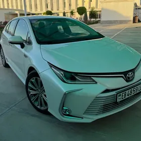 Toyota Corolla 2020