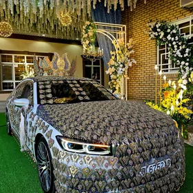 masyn bezeg  bmw mersedes toy