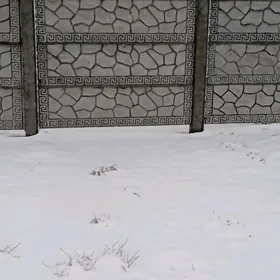 Beton Zabor (Haýat)