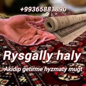HALY HIMCISTKA MOYKA Химчистка