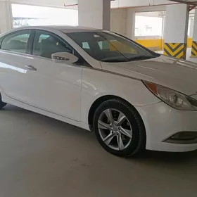 Hyundai Sonata 2010