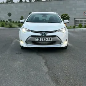 Toyota Corolla 2019