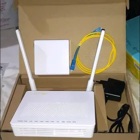 Router gpon
