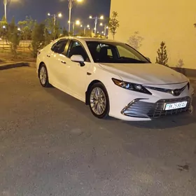 Toyota Camry 2019