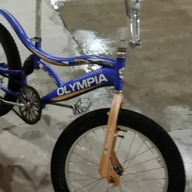 Tigir 4duga