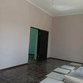 Satlyk Daca Gyssagly