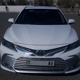 Toyota Camry 2020