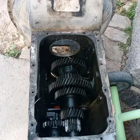 13 diş Bylok şestyrn