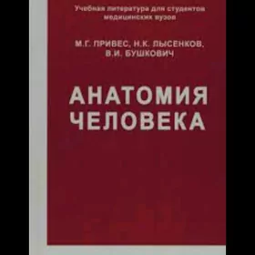 anatomiya kitap