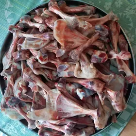 Itiñ nahary