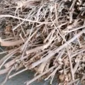 ODUN