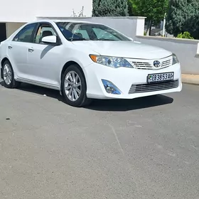 Toyota Camry 2013
