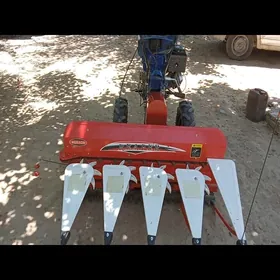 MTZ 82 2025