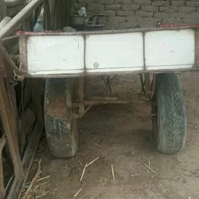 Araba yeniljek