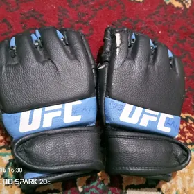 percatka UFC